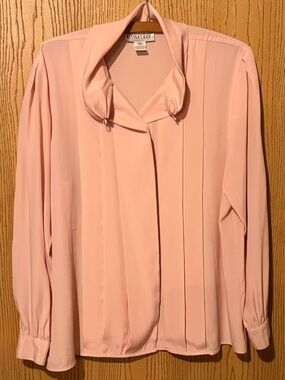 Vintage Alyssa Carr Pink sheer Blouse